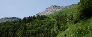 Preview wallpaper mountain, slope, grass, landscape, trees