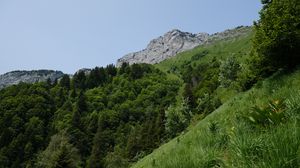 Preview wallpaper mountain, slope, grass, landscape, trees