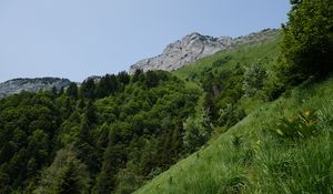 Preview wallpaper mountain, slope, grass, landscape, trees