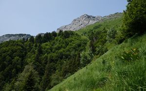 Preview wallpaper mountain, slope, grass, landscape, trees