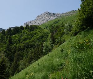 Preview wallpaper mountain, slope, grass, landscape, trees