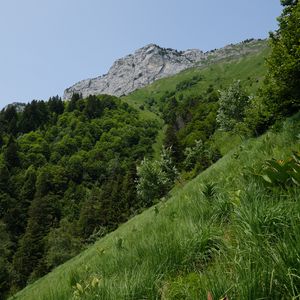 Preview wallpaper mountain, slope, grass, landscape, trees