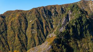 Preview wallpaper mountain, slope, landscape, relief, trees