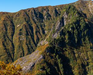 Preview wallpaper mountain, slope, landscape, relief, trees