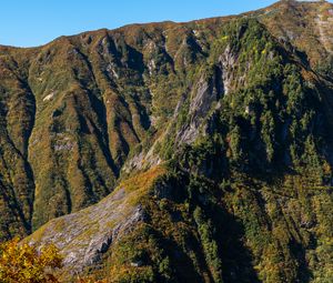 Preview wallpaper mountain, slope, landscape, relief, trees