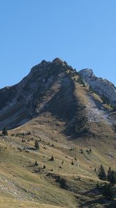 Preview wallpaper mountain, slope, landscape, valley, trees