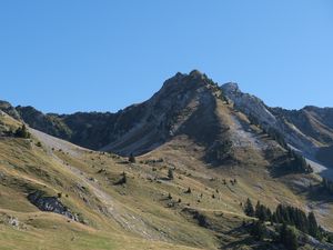 Preview wallpaper mountain, slope, landscape, valley, trees