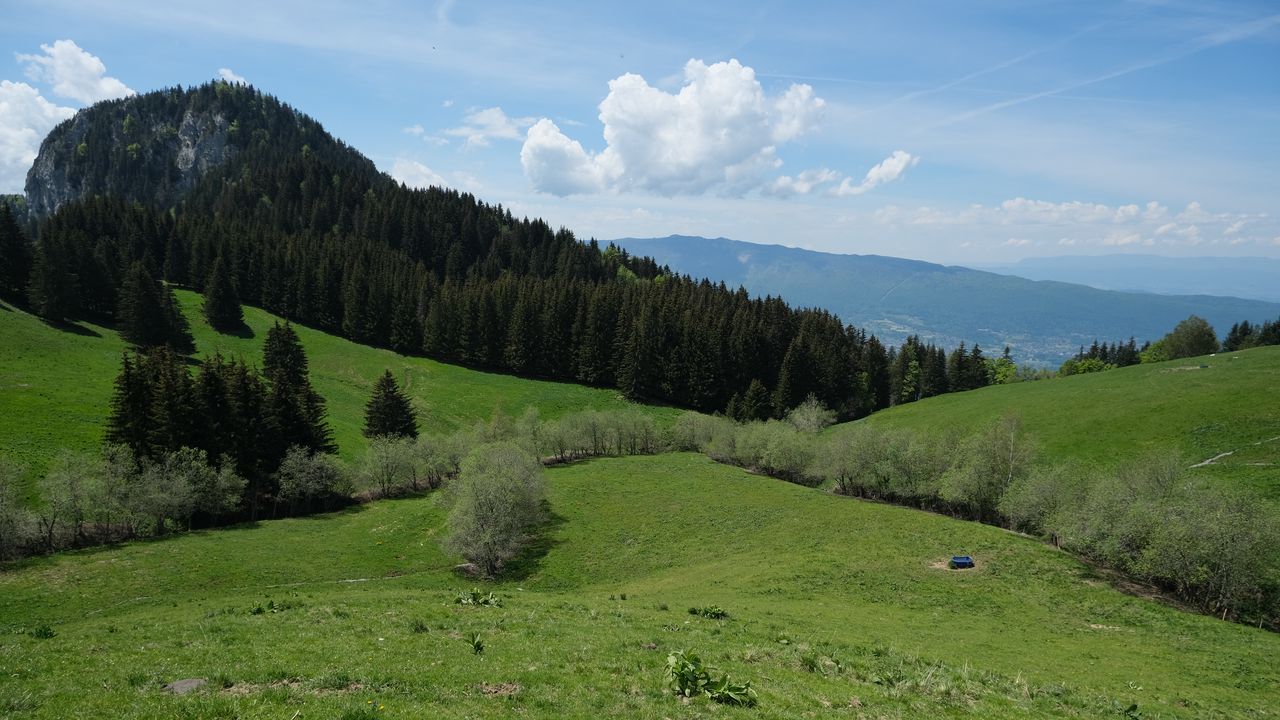 Wallpaper mountain, slope, lawn, trees, greenery, landscape