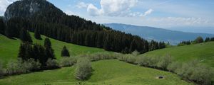 Preview wallpaper mountain, slope, lawn, trees, greenery, landscape