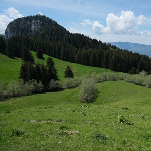 Preview wallpaper mountain, slope, lawn, trees, greenery, landscape