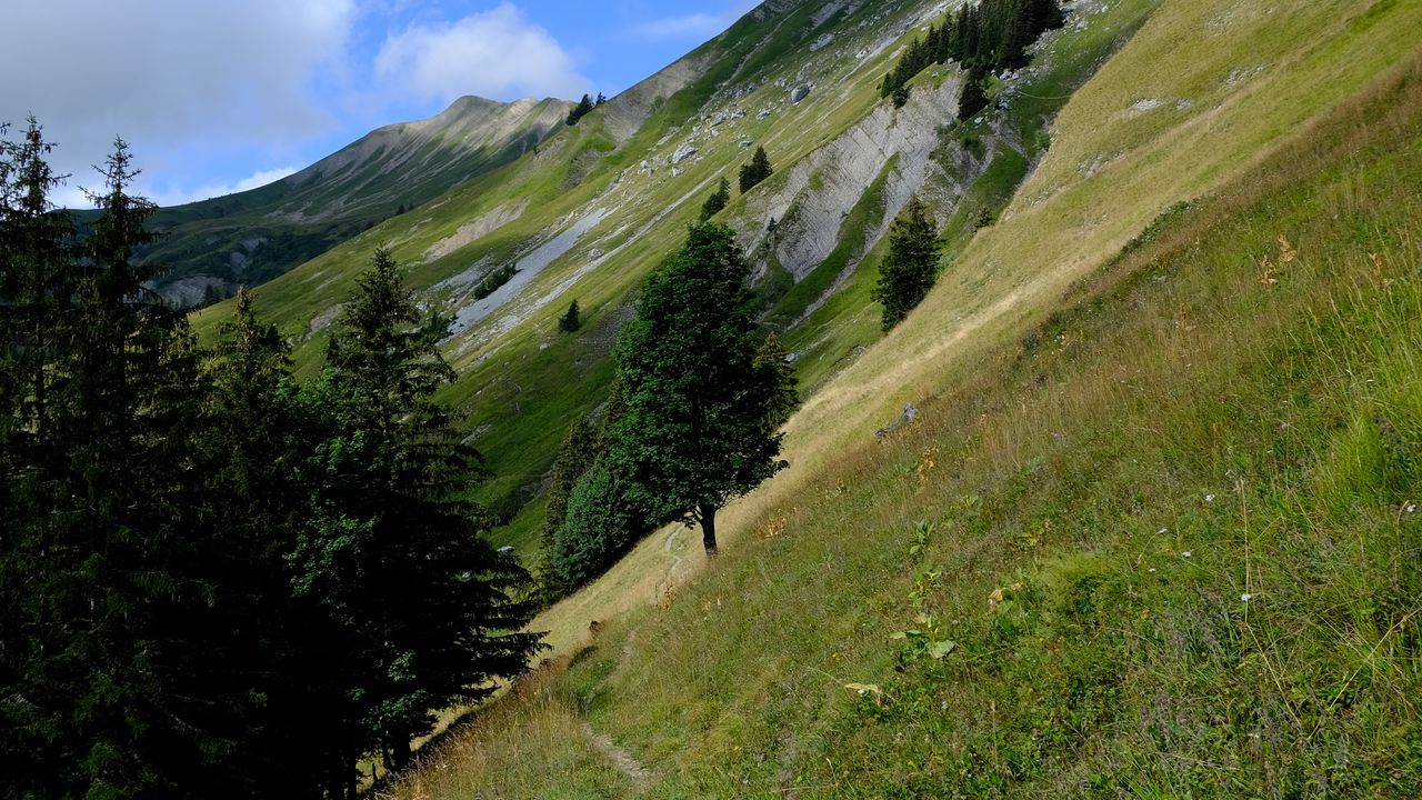 Wallpaper mountain, slope, path, trees, landscape