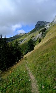 Preview wallpaper mountain, slope, path, trees, landscape