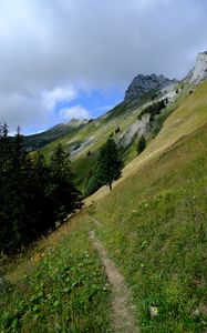 Preview wallpaper mountain, slope, path, trees, landscape