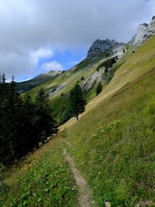 Preview wallpaper mountain, slope, path, trees, landscape