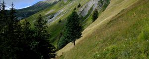 Preview wallpaper mountain, slope, path, trees, landscape