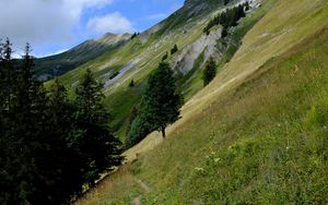 Preview wallpaper mountain, slope, path, trees, landscape