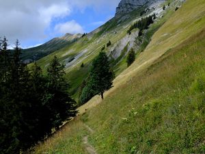 Preview wallpaper mountain, slope, path, trees, landscape