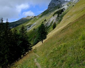 Preview wallpaper mountain, slope, path, trees, landscape