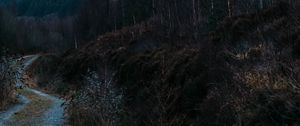 Preview wallpaper mountain, slope, path, nature, landscape