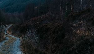 Preview wallpaper mountain, slope, path, nature, landscape