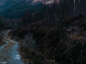 Preview wallpaper mountain, slope, path, nature, landscape