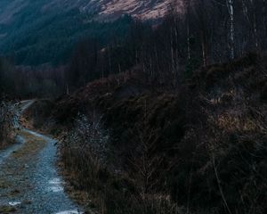 Preview wallpaper mountain, slope, path, nature, landscape