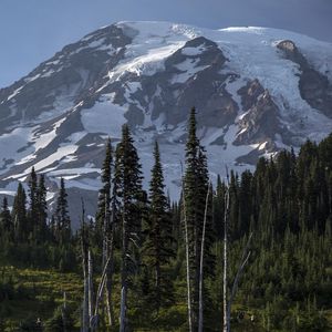 Preview wallpaper mountain, slope, relief, snow, trees