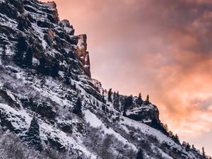 Preview wallpaper mountain, slope, snow, trees, bushes