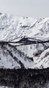 Preview wallpaper mountain, slope, snow, trees, winter, landscape