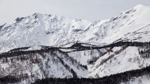 Preview wallpaper mountain, slope, snow, trees, winter, landscape