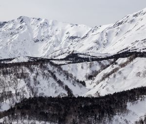 Preview wallpaper mountain, slope, snow, trees, winter, landscape