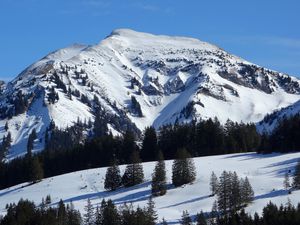 Preview wallpaper mountain, slope, snow, spruces, nature