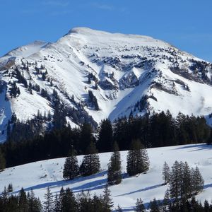 Preview wallpaper mountain, slope, snow, spruces, nature