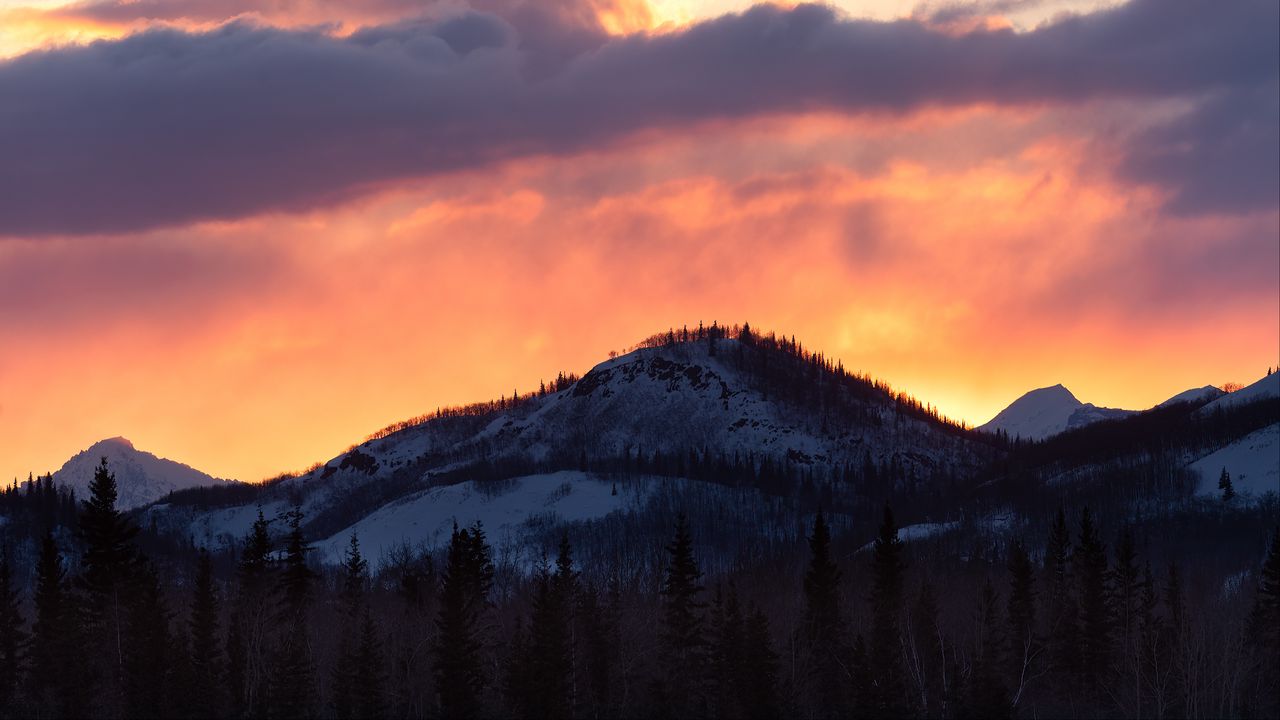 Wallpaper mountain, slope, snow, trees, twilight, dark