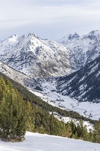 Preview wallpaper mountain, slope, snow, trees, landscape, view