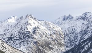 Preview wallpaper mountain, slope, snow, trees, landscape, view