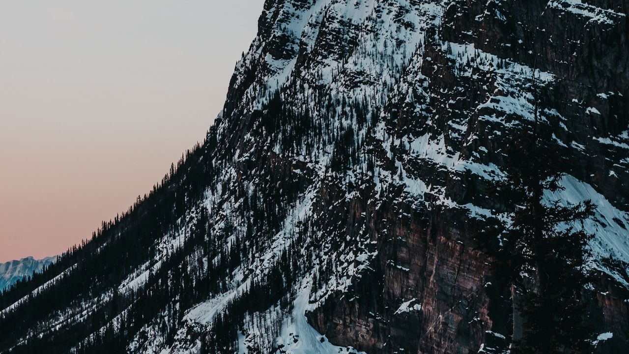 Wallpaper mountain, slope, trees, snow