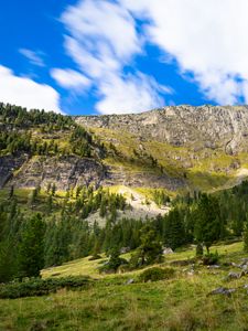 Preview wallpaper mountain, slope, trees, grass, stones, nature