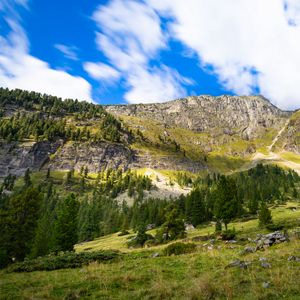 Preview wallpaper mountain, slope, trees, grass, stones, nature