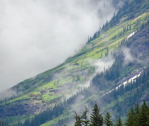 Preview wallpaper mountain, slope, trees, clouds, landscape, nature