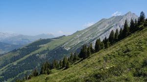 Preview wallpaper mountain, slope, trees, forest, landscape, nature