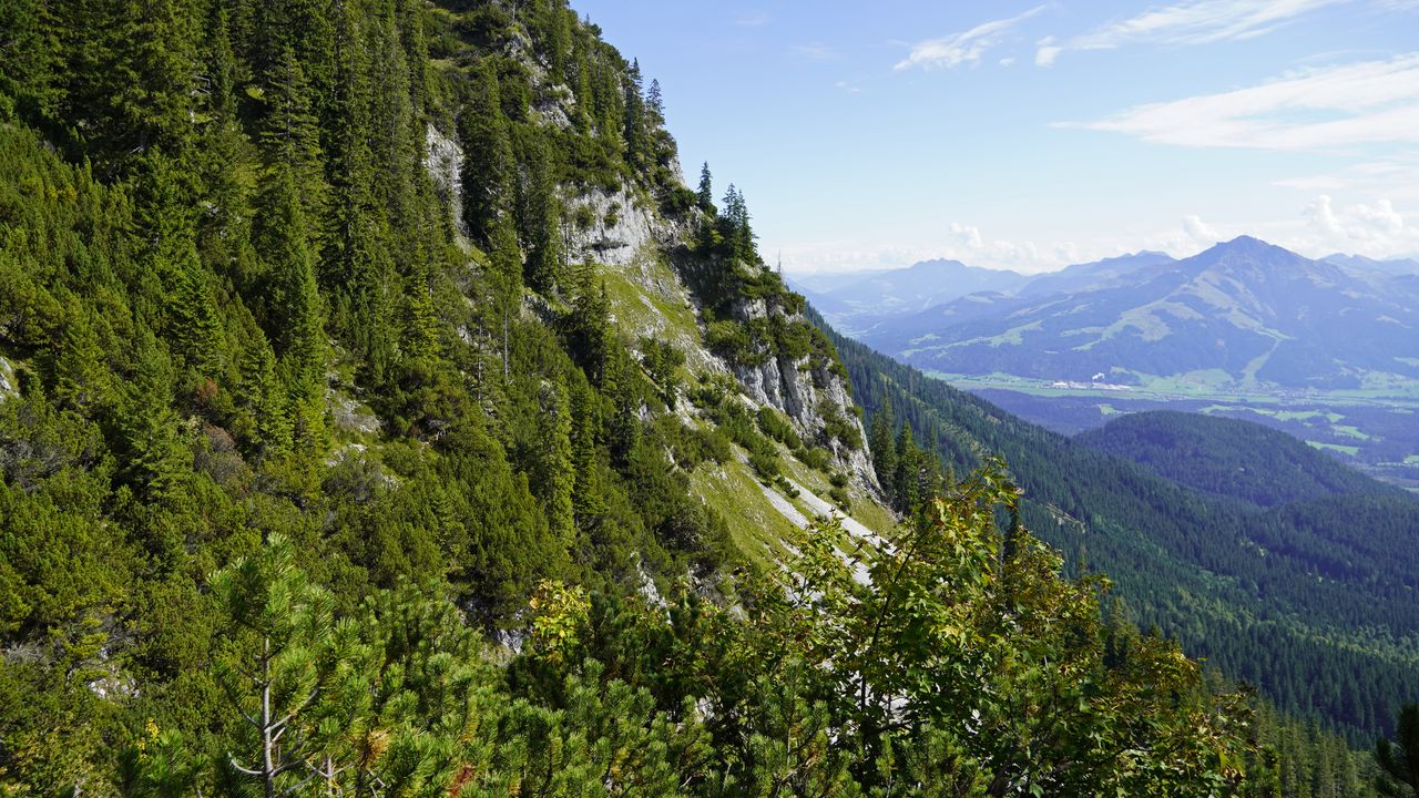 Wallpaper mountain, slope, trees, landscape, aerial view