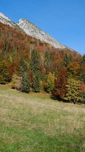 Preview wallpaper mountain, slope, trees, forest, nature