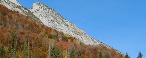 Preview wallpaper mountain, slope, trees, forest, nature