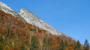 Preview wallpaper mountain, slope, trees, forest, nature