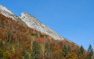 Preview wallpaper mountain, slope, trees, forest, nature