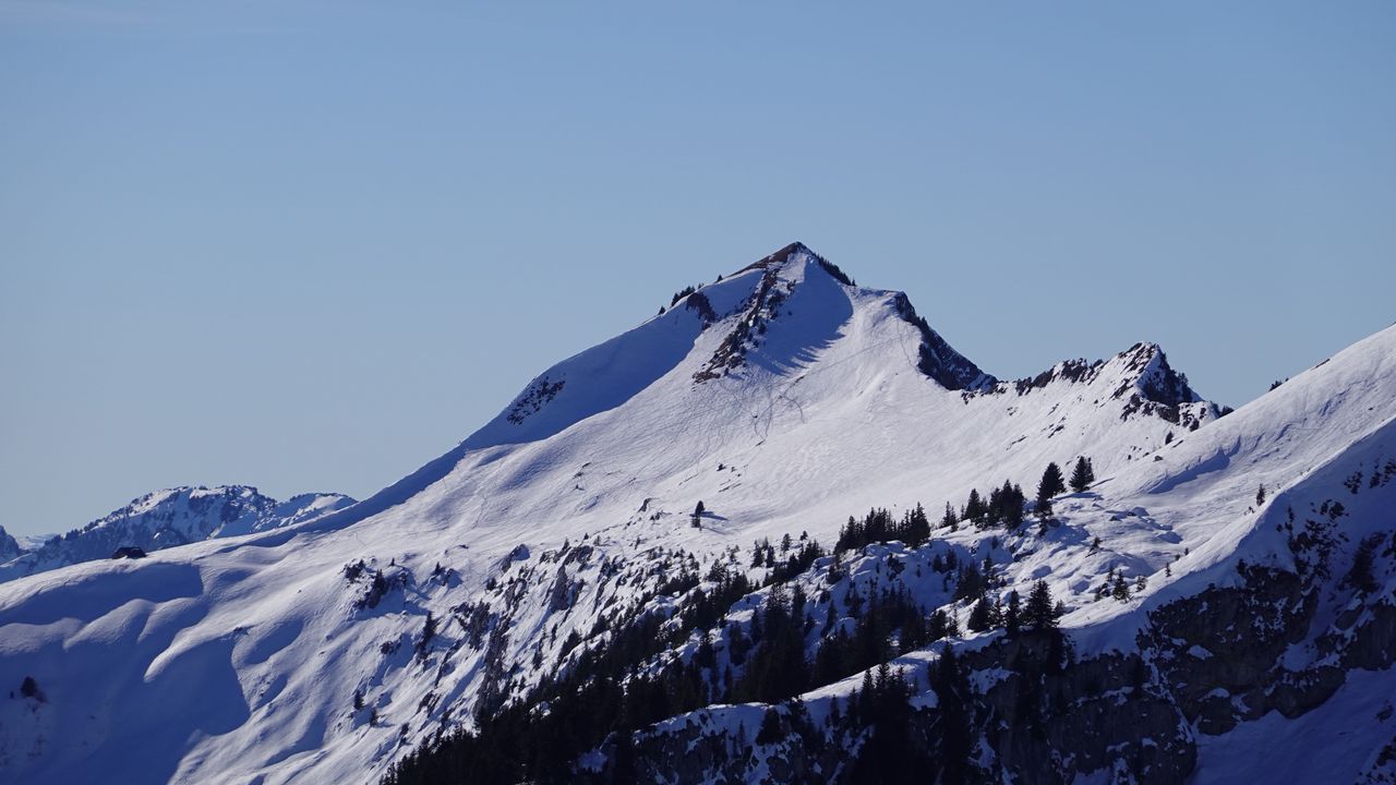 Wallpaper mountain, slope, trees, snow, nature