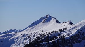 Preview wallpaper mountain, slope, trees, snow, nature