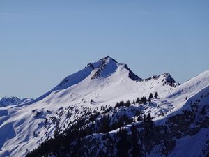Preview wallpaper mountain, slope, trees, snow, nature