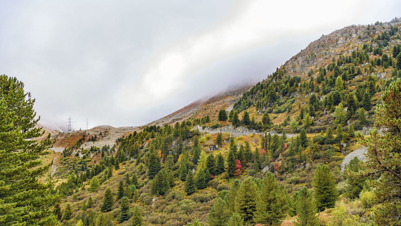 Wallpaper mountain, slope, trees, fog, landscape